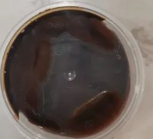 Sweet Soy Sauce