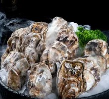 Oyster
