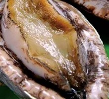 Live Abalone from Dalian