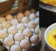 Sterile Egg