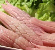 Rocket Squid