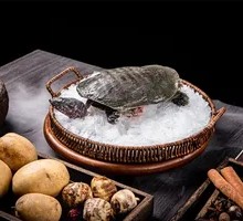 Hezhou Organic Softshell Turtle