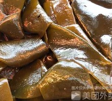 Kelp