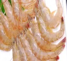 Shrimp