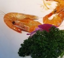 Boiled Shrimp