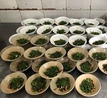 Seasoning
