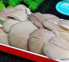 Enoki Mushroom
