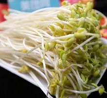 Bean sprouts