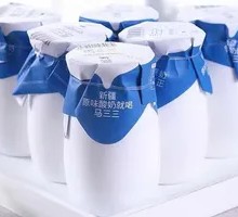 Xinjiang Traditional Yogurt