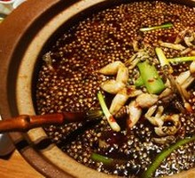 Spicy Rice Field Frog