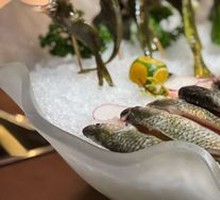 Ecological Yellow Catfish