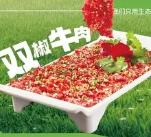 Sliced Beef with Green and Red Peppers