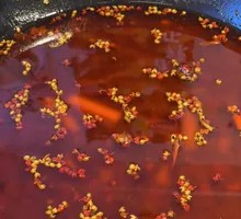 Pickled Chili Broth