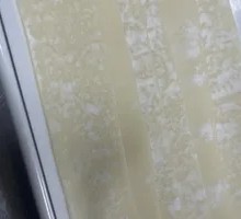 Fresh Noodles with Vegetables