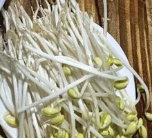 Spring Water Bean Sprouts