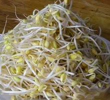 Bean sprouts