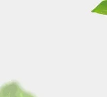 Kingly Durian Coconut Roll