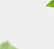 Meet the Rose Good Sushi Gift Box