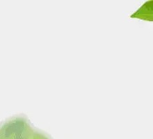 Cheesy Crispy Shrimp Rolls