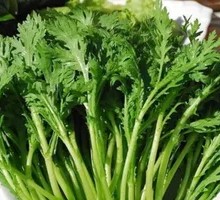 Chinese chrysanthemum greens