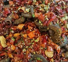 Coiled Eel in Dragon Shape