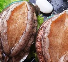 Abalone