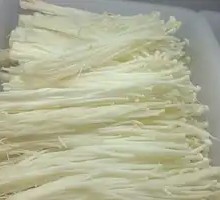 Enoki Mushroom