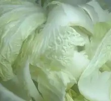 Chinese cabbage