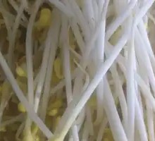Bean sprouts
