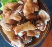 Pork Intestines
