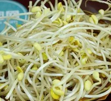 Bean sprouts