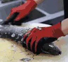 Fresh Steamed Hairtail