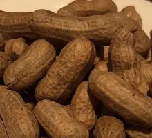 Boiled Peanuts