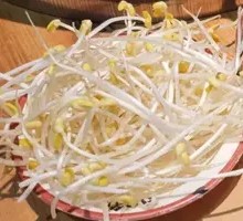 Bean sprouts