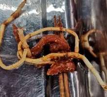 Bull's Tongue Beef Skewers