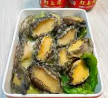 Abalone