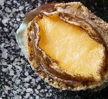 Deep-Sea Abalone