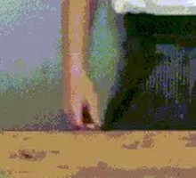 Freshly Caught Wild Eel