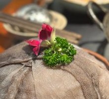 Fresh Beef Tripe from the Slaughterhouse