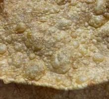 Signature Fried Tofu Skin