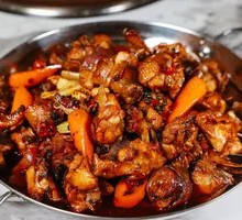 Fresh Chicken Blood from Live Chickens