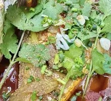 Aluminum Foil Catfish