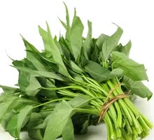 Water spinach