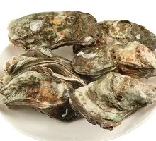 Rushan Oyster