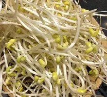 Bean sprouts