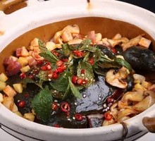 Hezhou Softshell Turtle