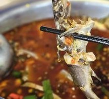 Pickled Pepper Yellow Catfish