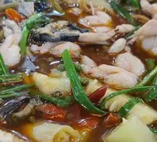 Home-style Rock Frog