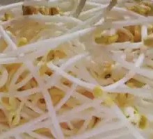 Bean sprouts