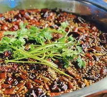 Fresh Bullfrog with Full Weight